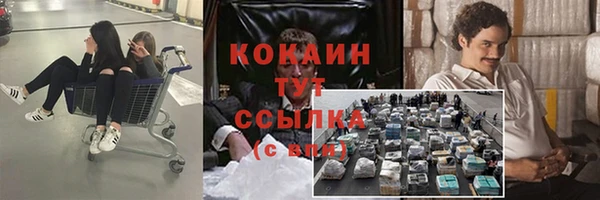 дурь Аркадак