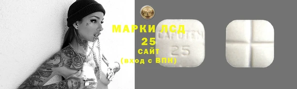 тгк Абаза